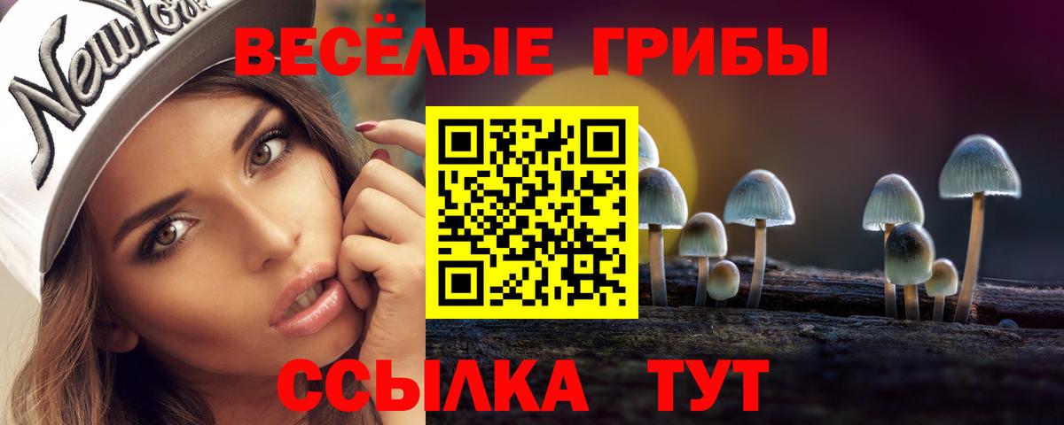 Псилоцибиновые грибы мухоморы Печора